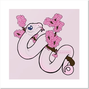 Cherry Blossom, White Snake Posters and Art